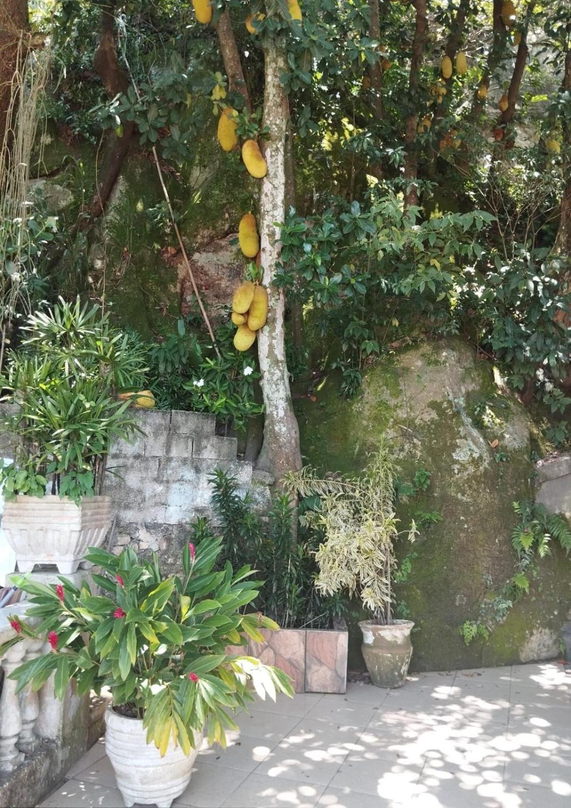 Casa Das Luzes Hostel Ivn Rio de Janeiro Exterior photo
